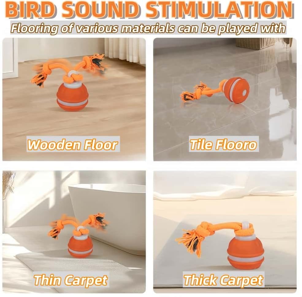 Interactive Dog Toys, Squeaky Dog Toys, Active Rolling Ball for Puppy and Medium Dogs, Squeaky, USB Rechargeable (Orange)