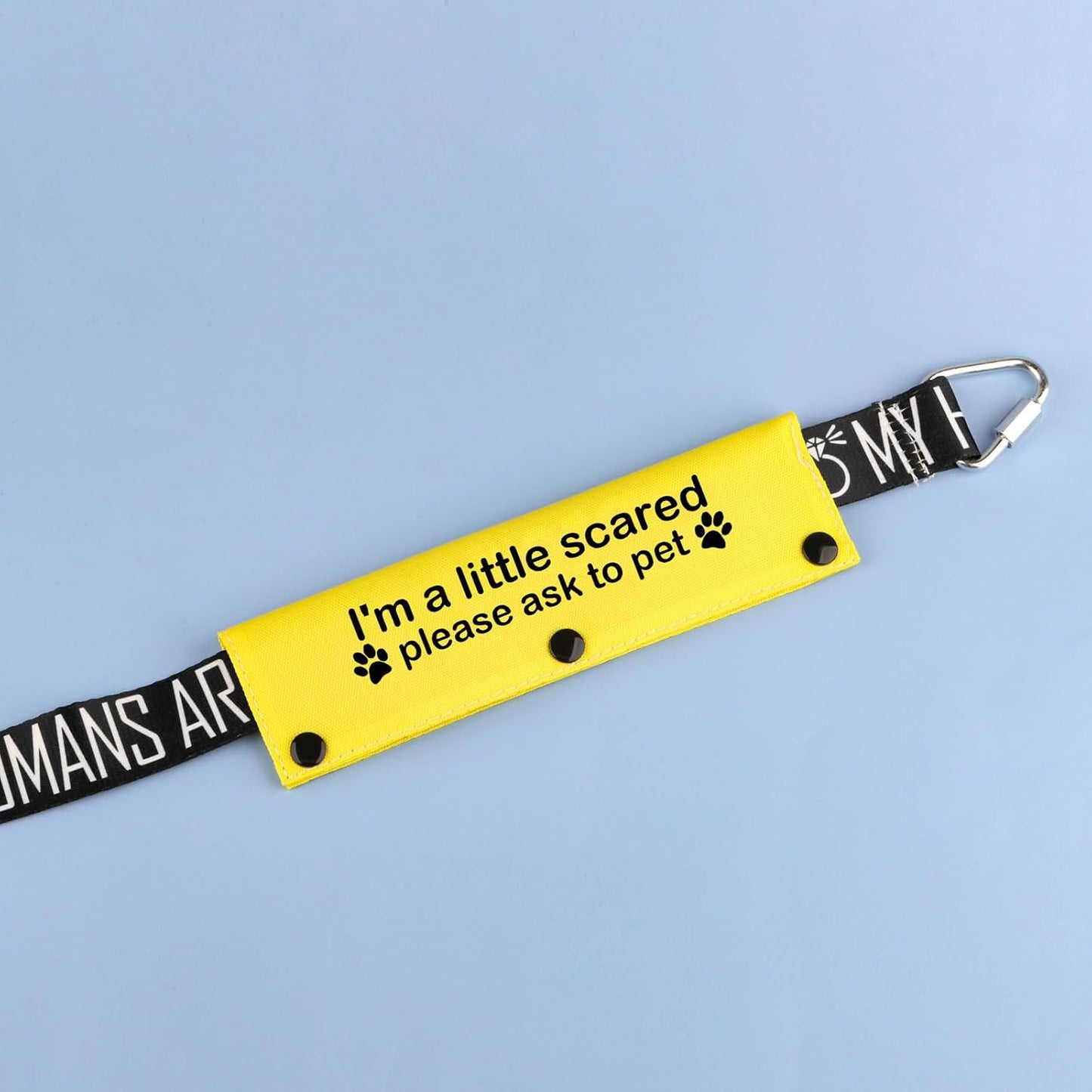 Funny Dog Leash Sleeve I'm a Little Scared Please Ask to pet Leash Wrap Alert Hanging ID Patch Tag Pet Birthday Gift (Little Scared-YE Sleeve)