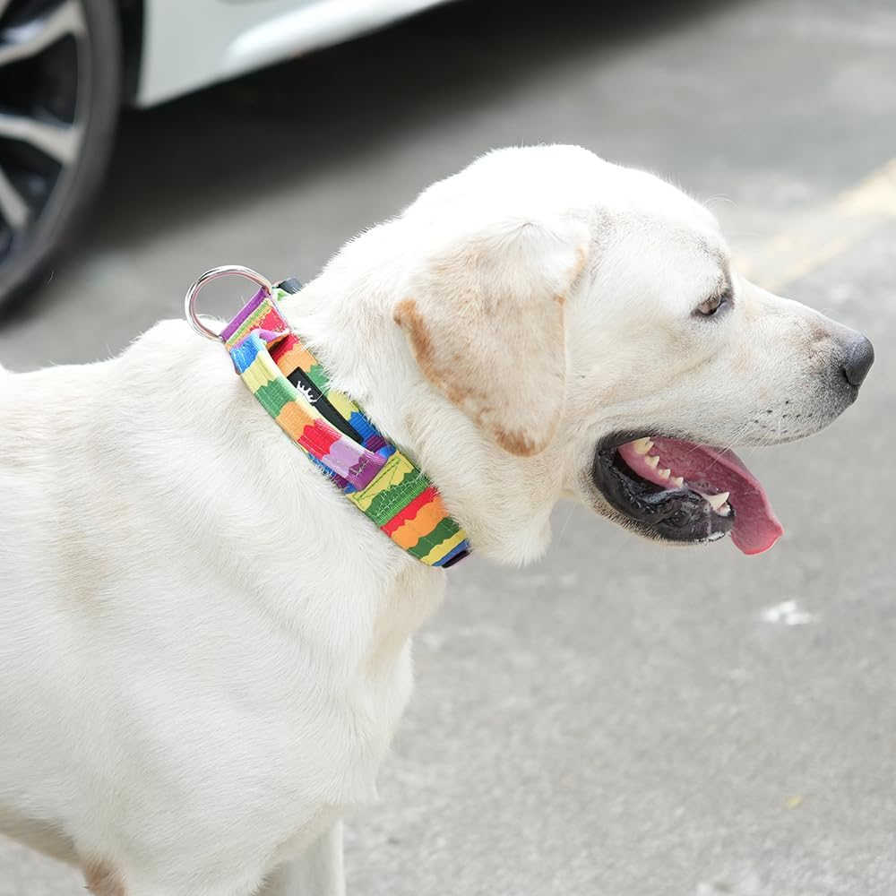 TSPRO Premium Dog Collars Tactical Dog Collar with Handle and Heavy Duty Quick-Release Metal Buckle Durable Thick and Adjustable for Medium to Large Dogs (Gradient Multi-Colored L)