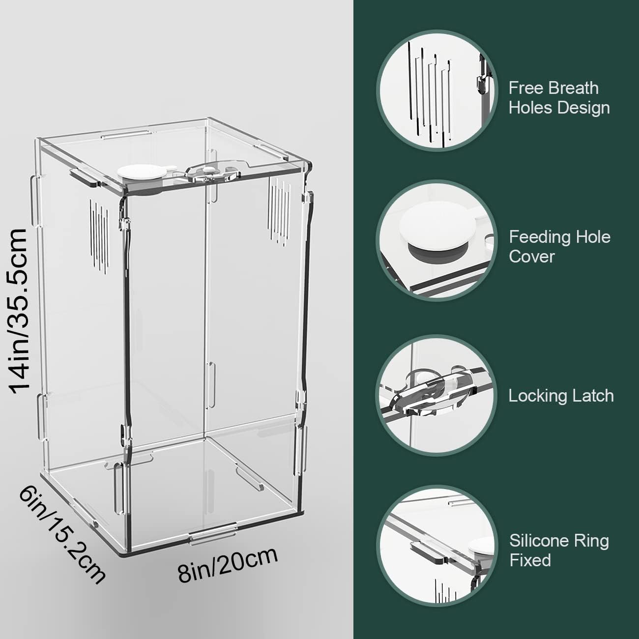 BETAZOOER Acrylic Mini Reptile Tank Habitat Transparent Terrariums with Locking Latch Suitable for Tarantula Isopod Roach Invertebrates (8''x6''x14'')