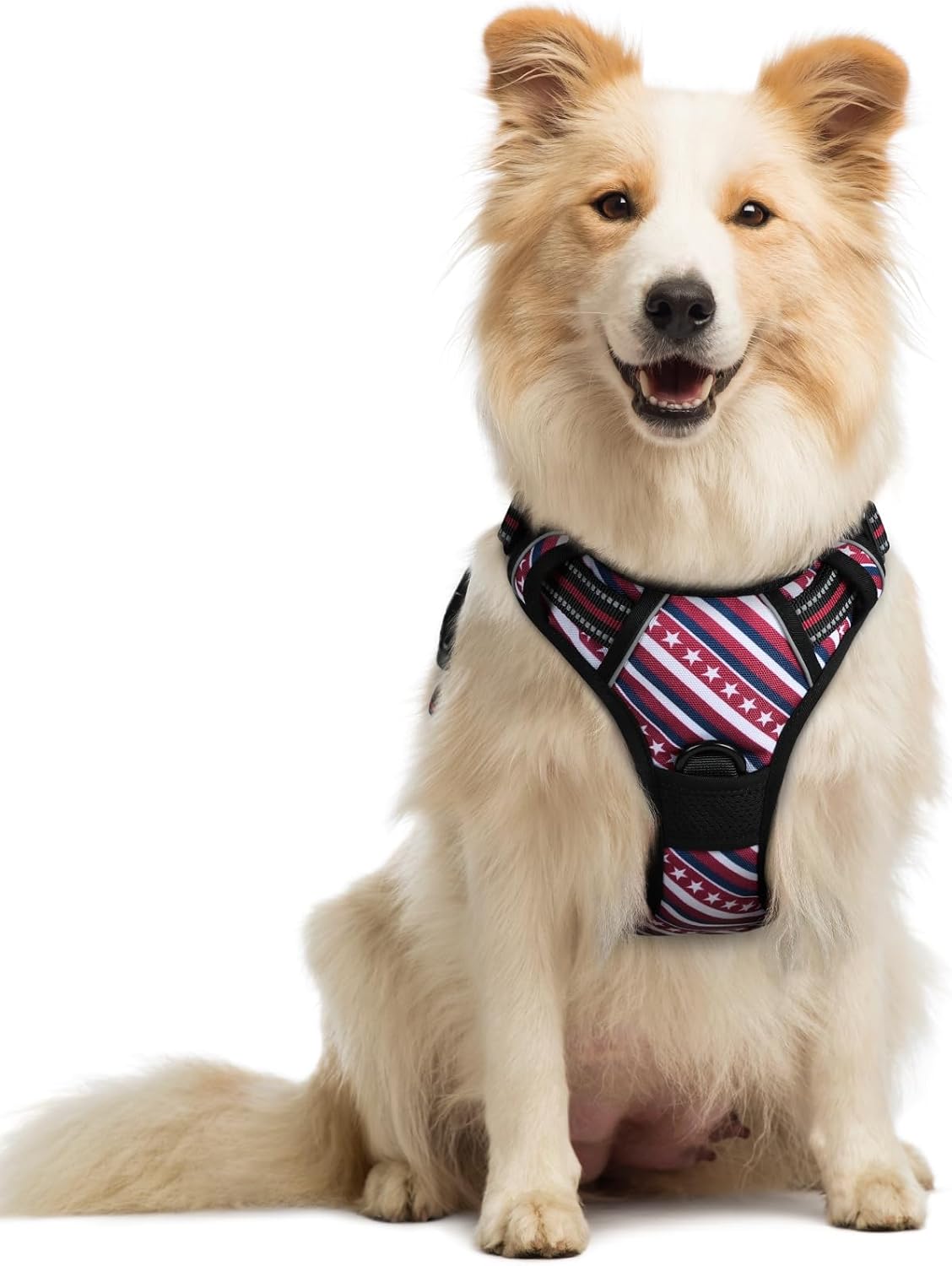 rabbitgoo Dog Harness No Pull with 2 Leash Clips, Adjustable Soft Padded, Reflective Oxford No Choke Pet Vest with Easy Control Handle for Large Dogs, Red Stripe, M