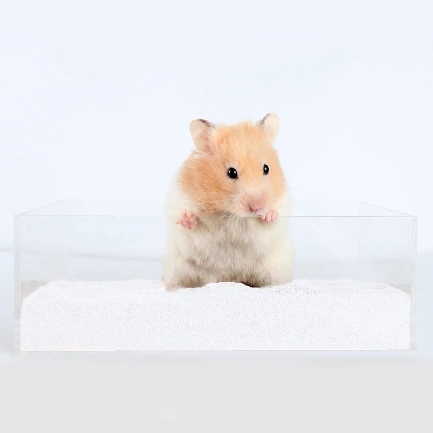 DR.DUDU Hamster Bath Sand, 6.6lb Dust Free Desert Sand or Potty Litter Sand for Hamster Chinchillas Gerbil Syrian Mice Small Animals (White)