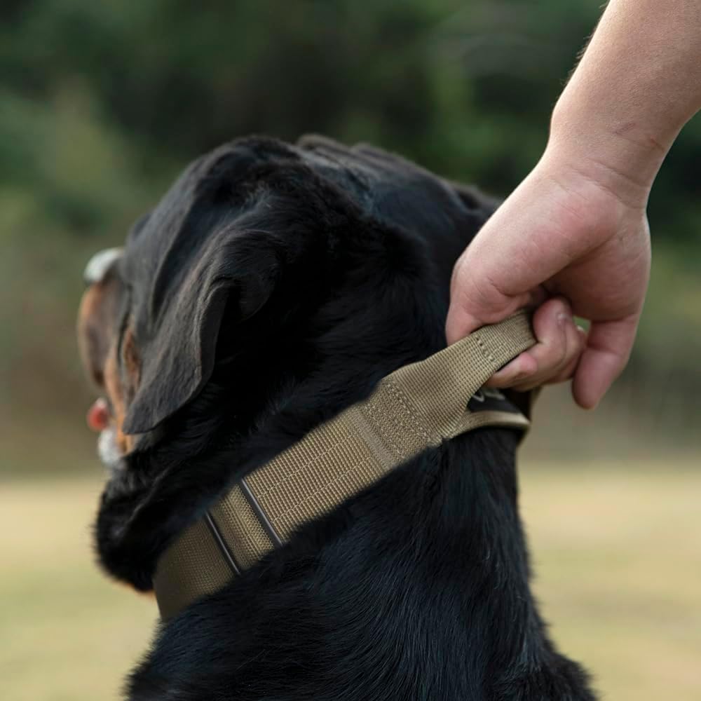 TSPRO Premium Dog Collars Tactical Dog Collar with Handle and Heavy Duty Quick-Release Metal Buckle Durable Thick and Adjustable for Medium to Large Dogs (Vitality Gradient L)