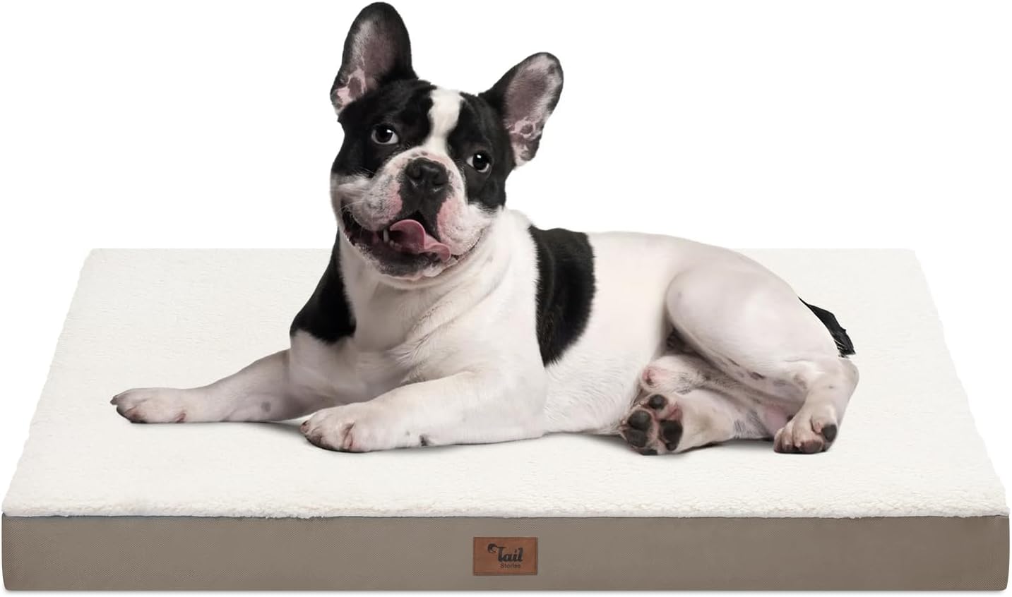 Medium Dog Bed for Medium/Small Dogs, Orthopedic Dog Beds with Removable Washable Waterproof Cover, Egg Crate Foam Pet Bed Mat, Khaki White