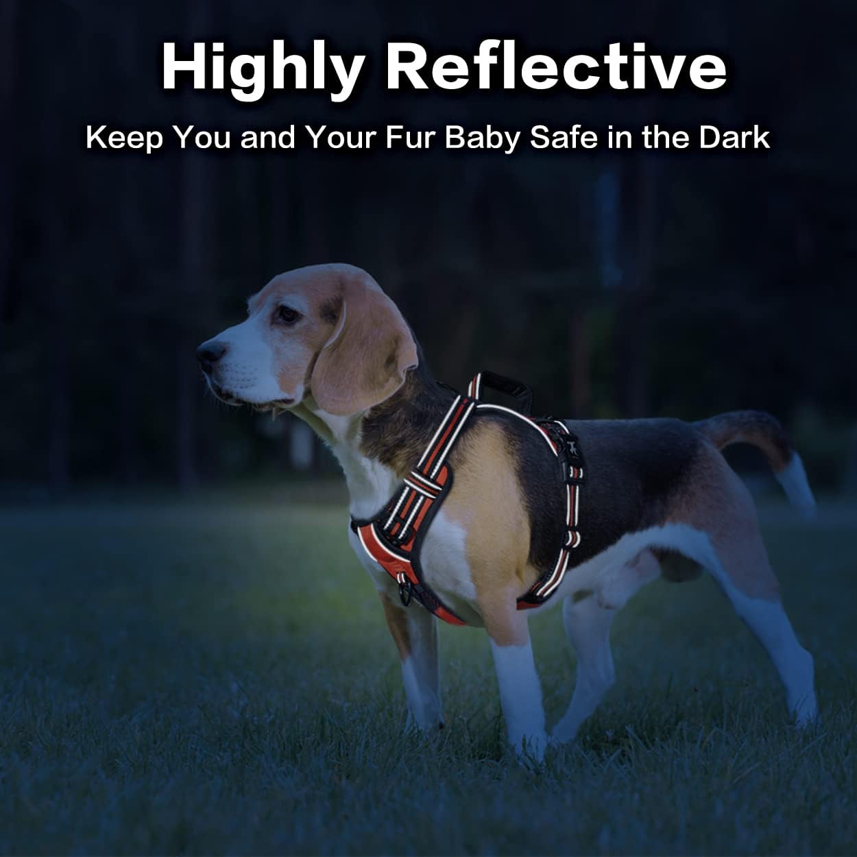 PoyPet No Pull Dog Harness, No Choke Front Clip Reflective Dog Vest with Soft Padded Vertical Handle, 3 Leash Attachments for Small Medium Large Dogs (Orange,S)