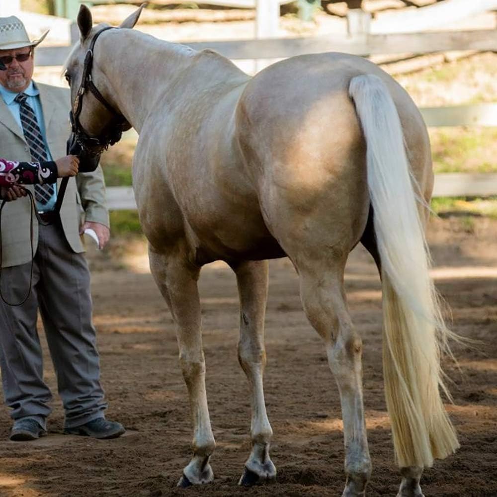 Horse Tail Extensions with Braided Horsehair Loop, Blunt Cut Bottom, 28-30 inches Long and 3/8 lb Weight