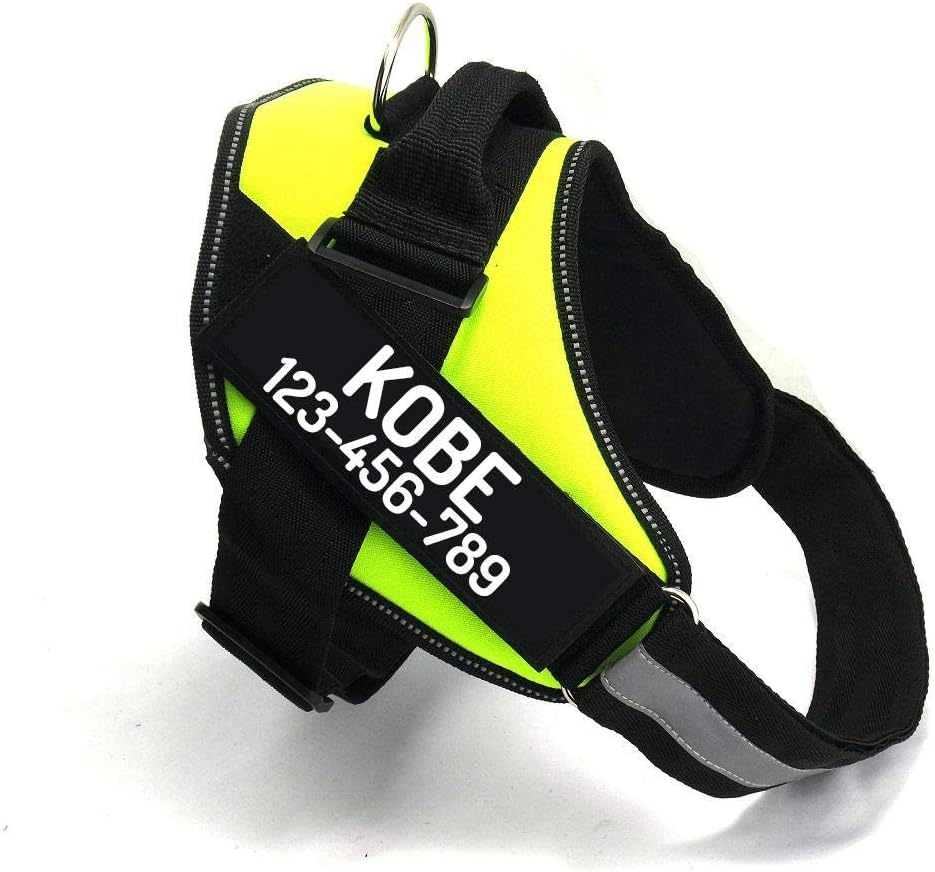 PawPawify Custom No Pull Dog Harness with Name and Phone Number, Heavy Duty Personalized Pet Vest to Prevent Tugging, Pulling, or Choking, Training and Walking (Green, L (40-60 LBS))