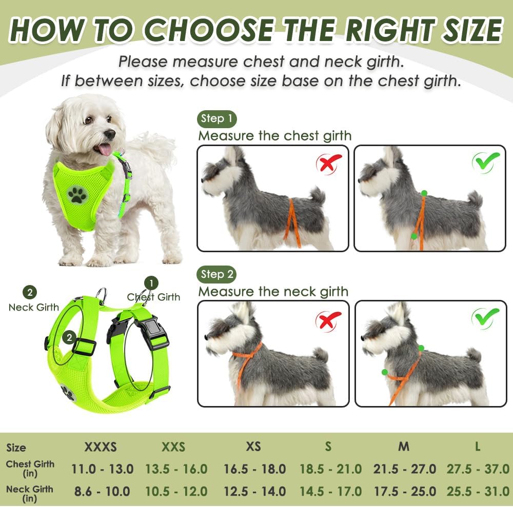 SlowTon Dog Seat Belt Harness for Car, Dog Car Harness Adjustable Mesh Breathable & Dog Seatbelt Safety Tether with Elastic Bungee for Small Medium Large Pets(Lime, Double Clip, XS)