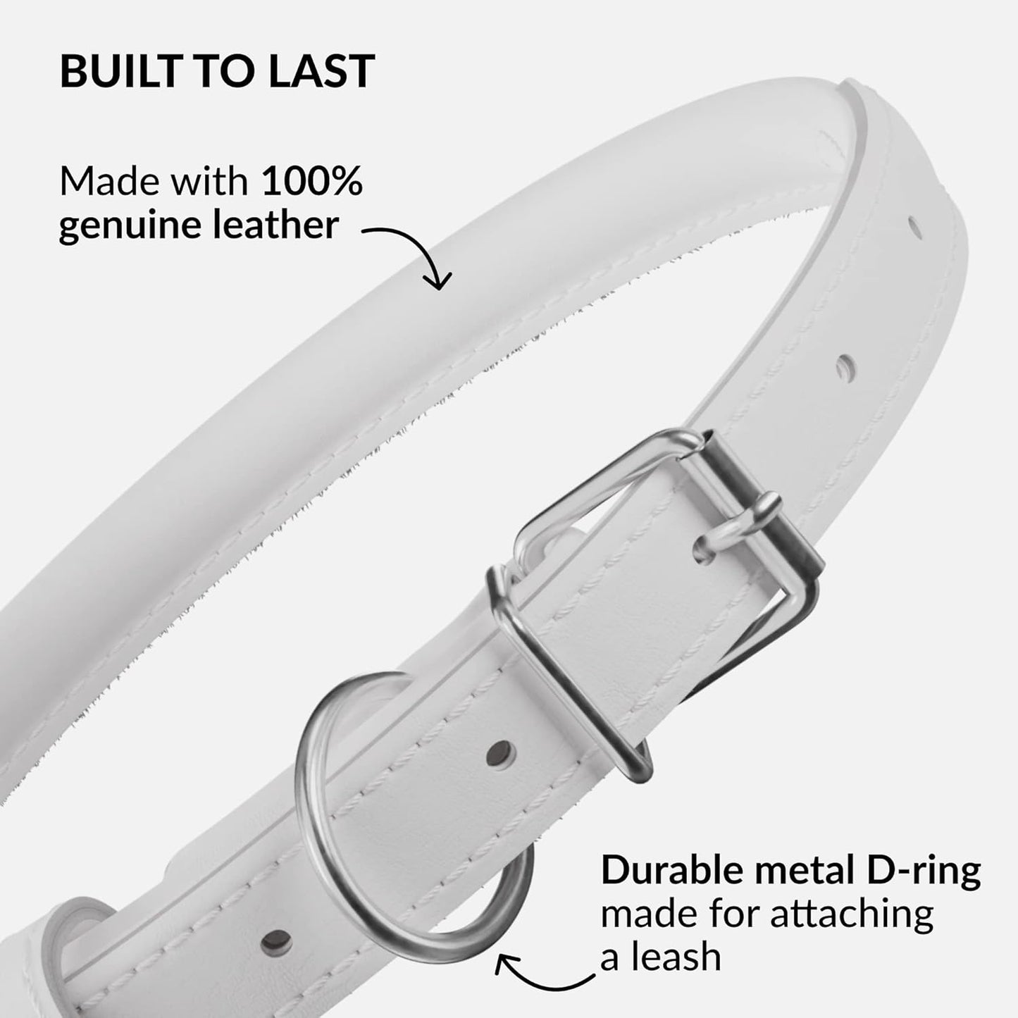 CollarDirect Rolled Leather Dog Collar, Soft Padded Round Puppy Collar, Handmade Genuine Leather Collar Dog Small Large Cat Collars 13 Colors (11-14 Inch, White Smooth)