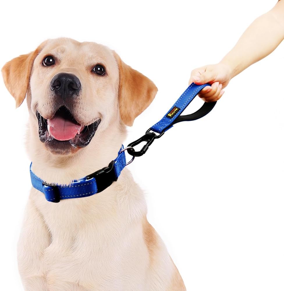 PLUTUS PET Short Dog Leash, Reflective Nylon Padded Handle, Strong Traffic Leash with Carabiner Clip, Perfect for Large or Medium Dogs (10”，Royal Blue)
