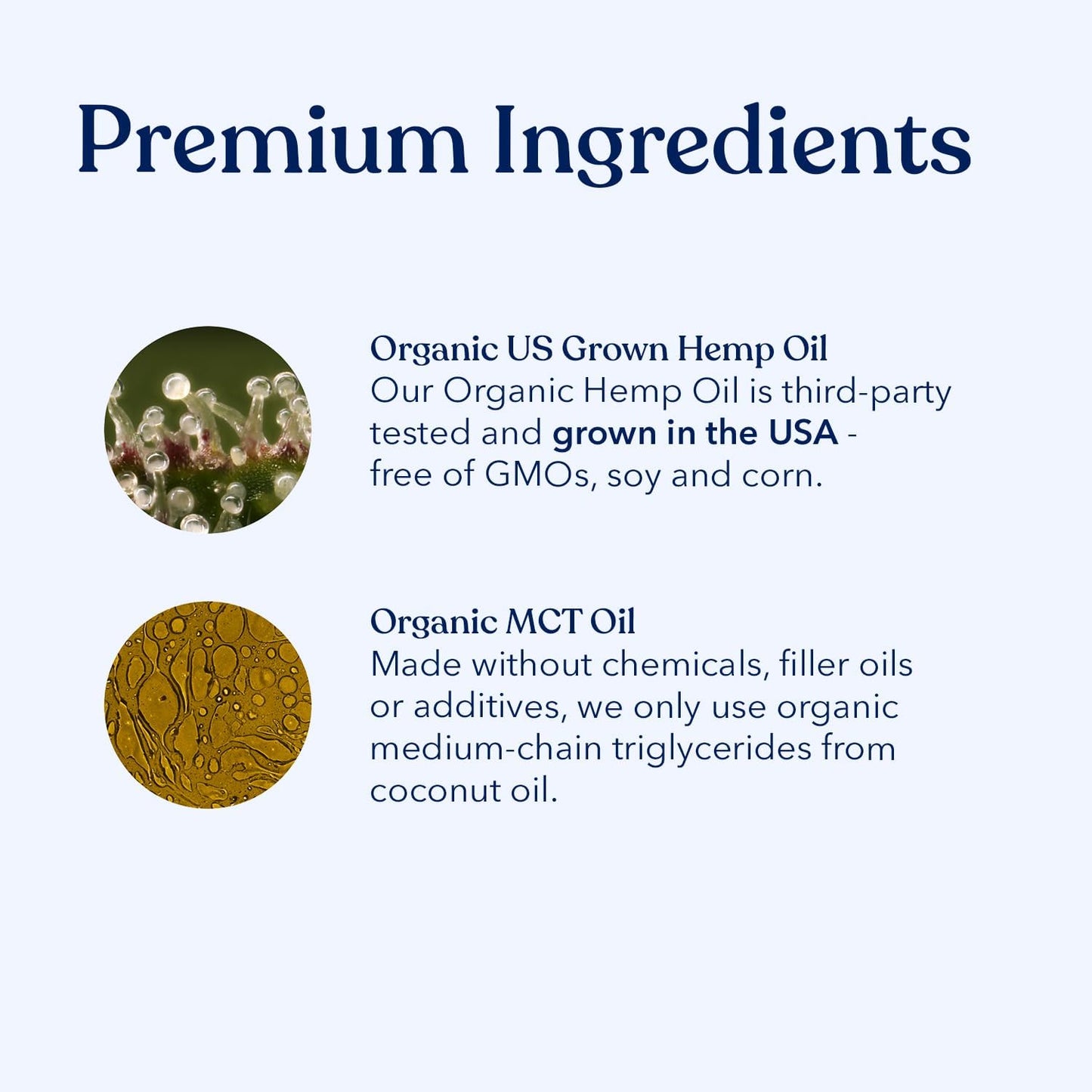 Honest Paws Hemp Oil for Dogs - Natural Hemp Seed Oil Calming Purity Drops for Dogs - Rich in Omega 3 6 9 to Promote Healthy Bones, Joint Support, Relaxation, Managing Normal Stress - Made in The USA