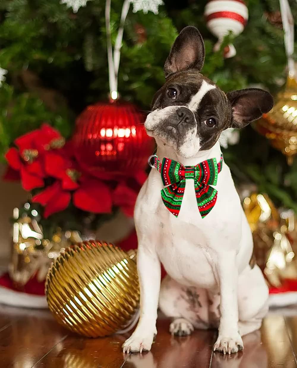 Lionet Paws Christmas Dog Collar with Bowtie, Dog Sailor Bow Collar with Metal Buckle for Dogs and Cats, Adjustable Comfortable Dog Collar Girl Gift, S, Neck 10-16 in