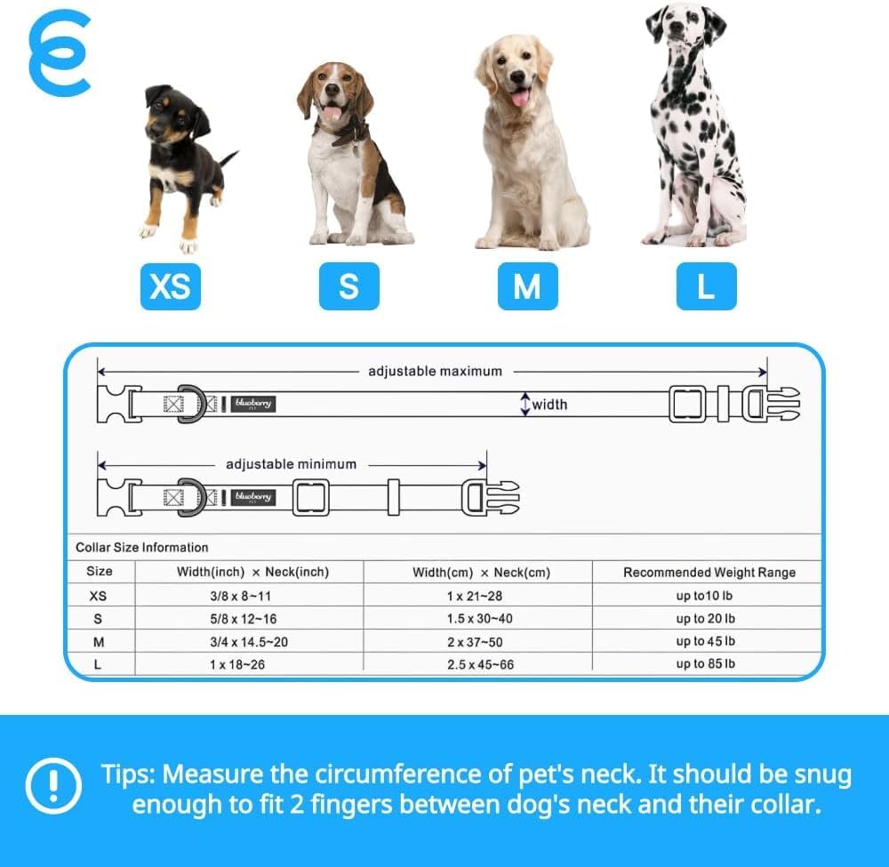 Blueberry Pet Essentials Medium Dog Collar in Black | Adjustable & Eco-Friendly Durable Nylon Strap | Classic Collar for Medium Dogs, Boy & Girl Pets