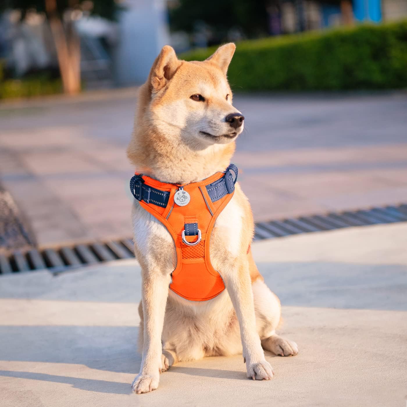 PHOEPET No Pull Dog Harness, Unique Colors Reflective Adjustable Dog Vest, with Soft Training Handle Metal Clips for Small Medium Large Dogs (Orange Base & Blue Straps,S)
