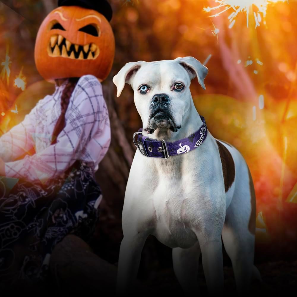 TSPRO Tactical Dog Collar 1.5 Inch Wide Thick Dog Collars with Heavy Duty Metal Buckle, Durable, Strong, Adjustable for Medium to Large Dogs (Halloween Purple L)