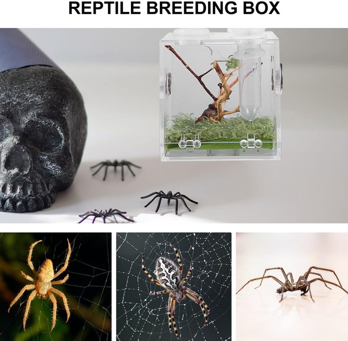 balacoo 8 Sets Jumping Spider Enclosure: Spider Cage Habitat Jumping Terrarium Micro Scorpion Droppers Reptile Hide Clear Enclosure Breeding Box Case with Breeding Tweezers