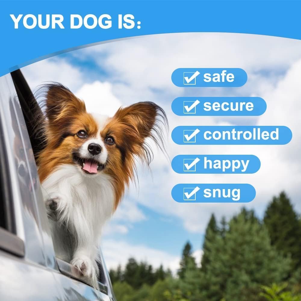 Dog Seat Belt Harness for Car,Dog Seatbelt of Coated Wire Leash Safety Restraint,No Chew Tether Cable Vehicle,Double Clips & Latch (Orange, 32 inch/80 CM)