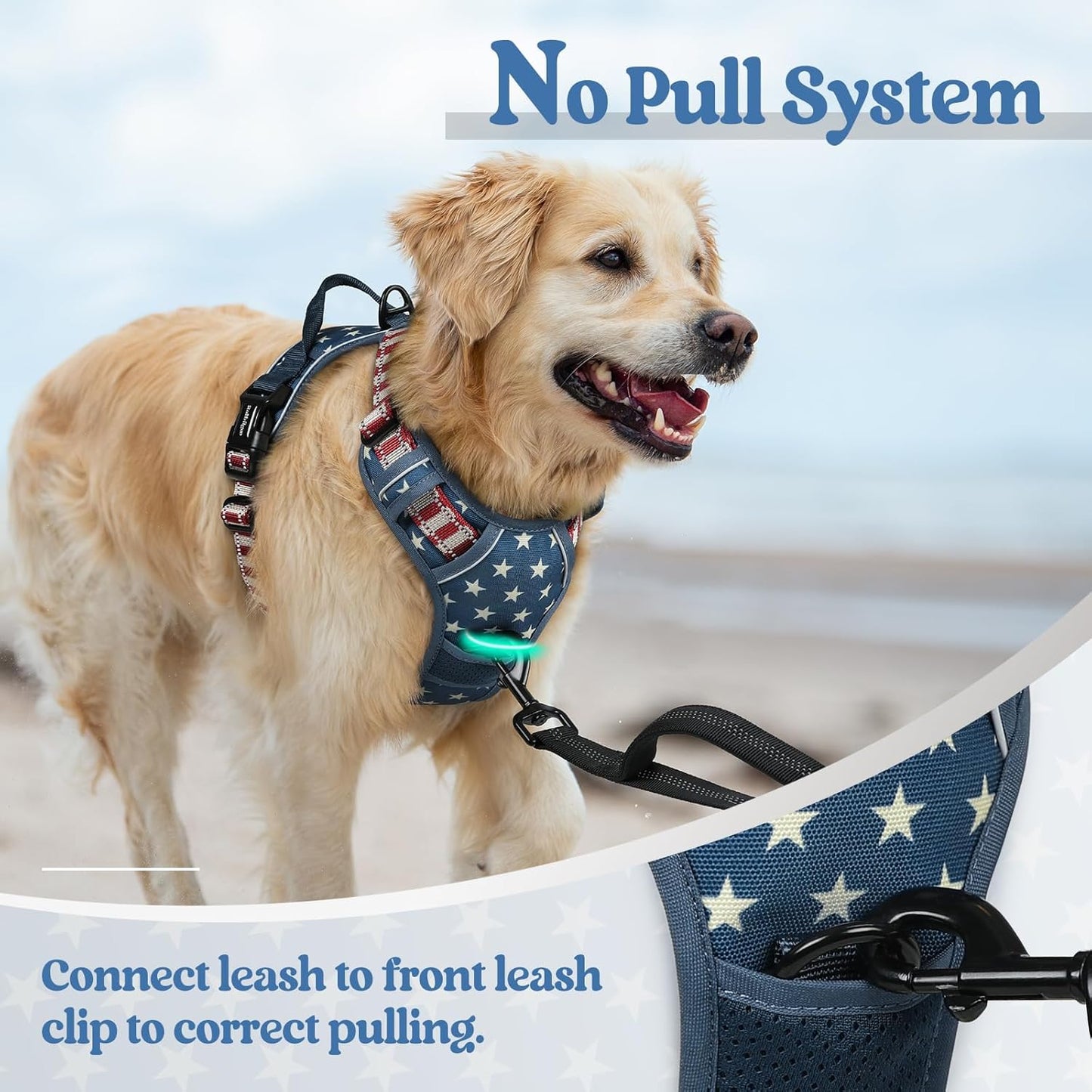rabbitgoo Dog Harness No Pull with 2 Leash Clips, Adjustable Soft Padded, Reflective Oxford No Choke Pet Vest with Easy Control Handle for Large Dogs, Blue Star, S
