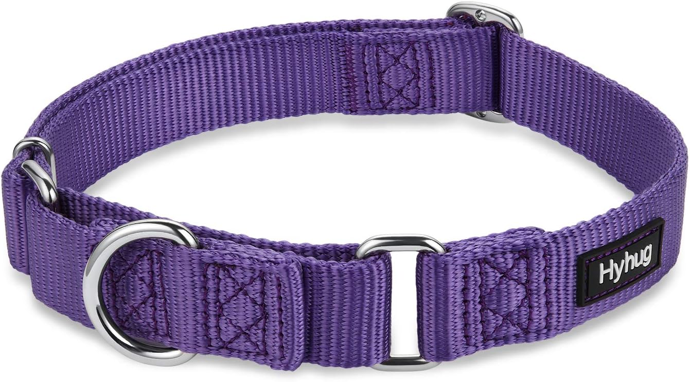 Hyhug Pets Premium Upgraded Heavy Duty Nylon Anti-Escape Martingale Collar for Boy and Girl Dogs Comfy and Safe - Daily Use Walking and Professional Training. (Large, Ultra Violet)