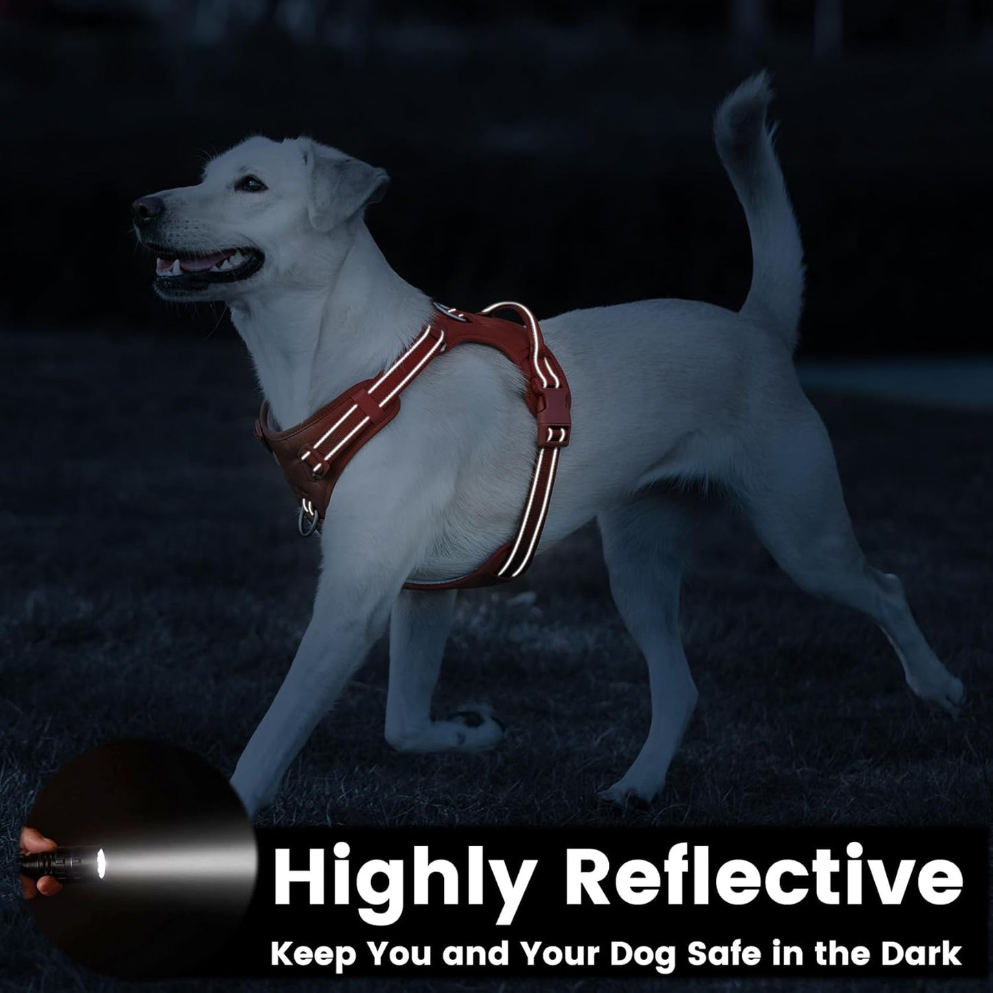 No Pull Dog Harness, Reflective Puppy Vest for Small Medium Large Sized Dog(Orange,XS)