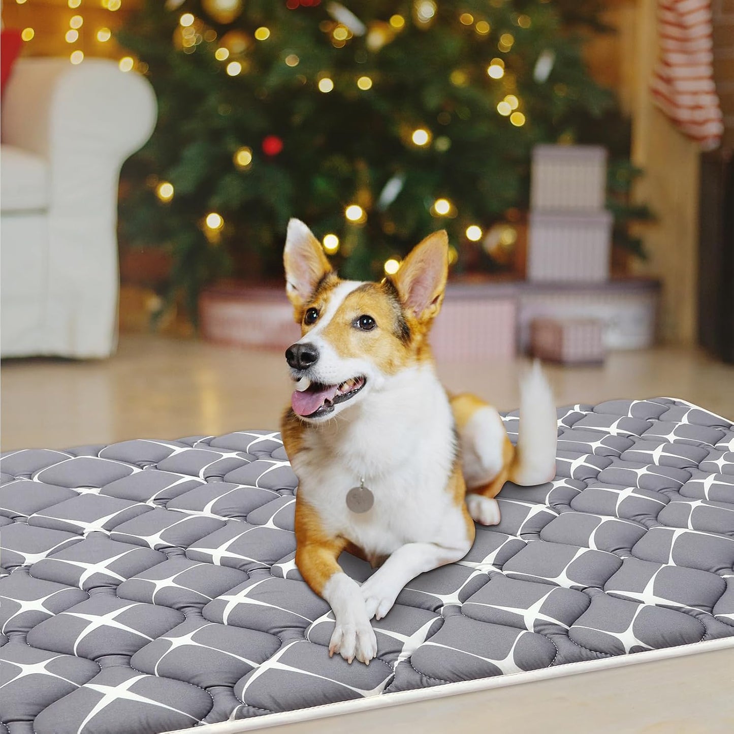 Bubble bear Dog Crate Mat - Ultra Soft, Washable & Anti-Slip Kennel Pad for Small/Medium/Large Dogs, Dark-Hued to Hide Stains (42"x28")