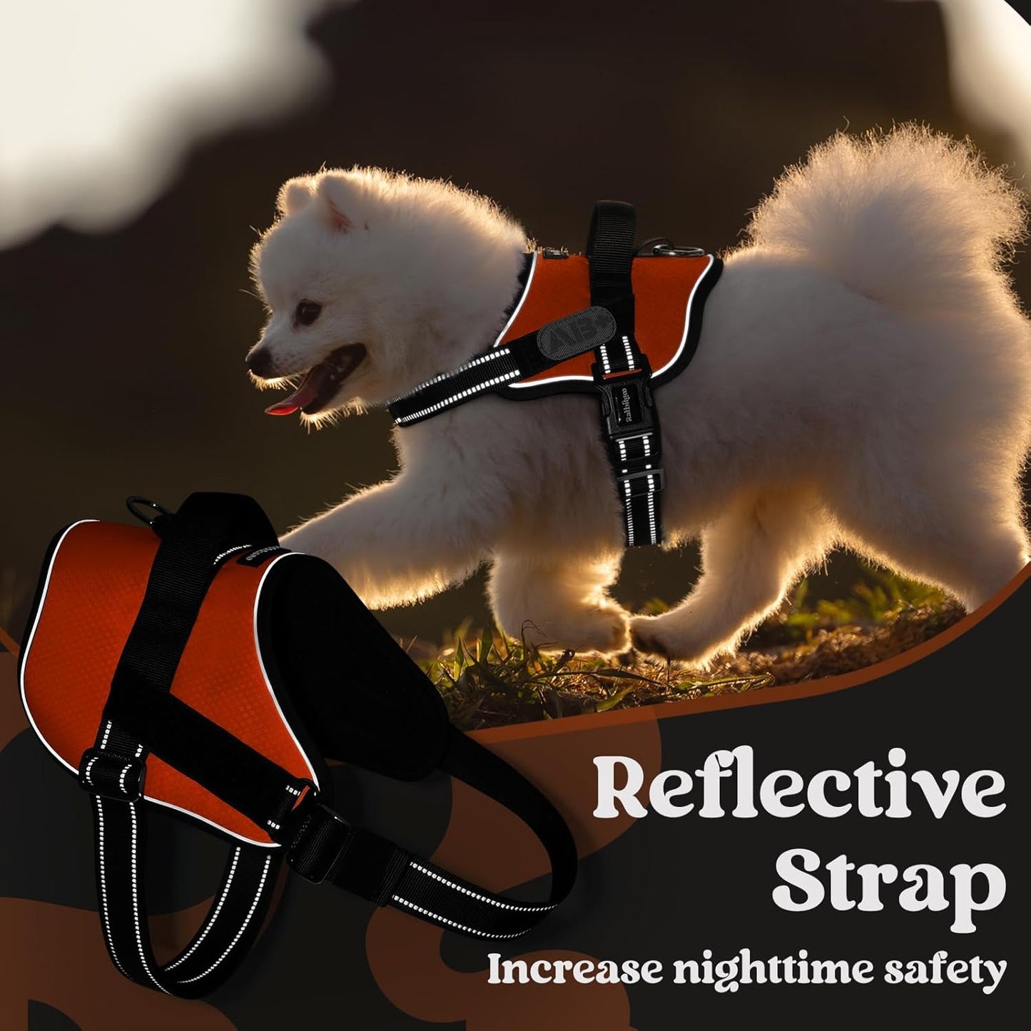 rabbitgoo Dog Harness for Small, Easy On Pet Vest with One Buckle, No Pull Adjustable Service Harness with D-Ring & Handle, Reflective for Safety Walking, Training, Orange, S