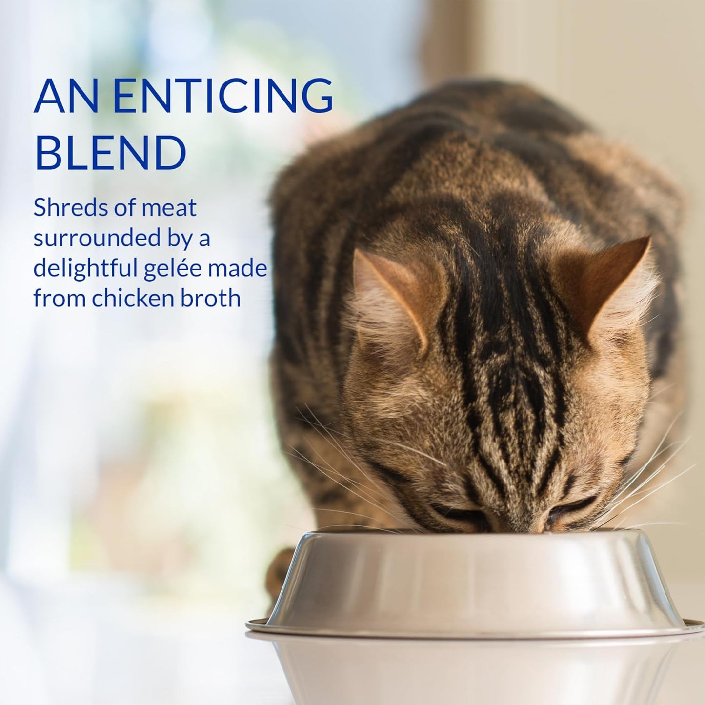 INABA Churu Stew for Cats, Side Dish Pouch with Vitamin E, 1.4 Ounces per Pouch, 12 Pouches, Chicken & Tuna Variety