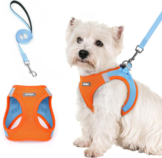 rabbitgoo Dog Harness Small Sized and Leash Set, Step in Soft Light Puppy Vest, Breathable Mesh Pet Harness, Reflective for Safe Easy Walking, Blue & Orange S