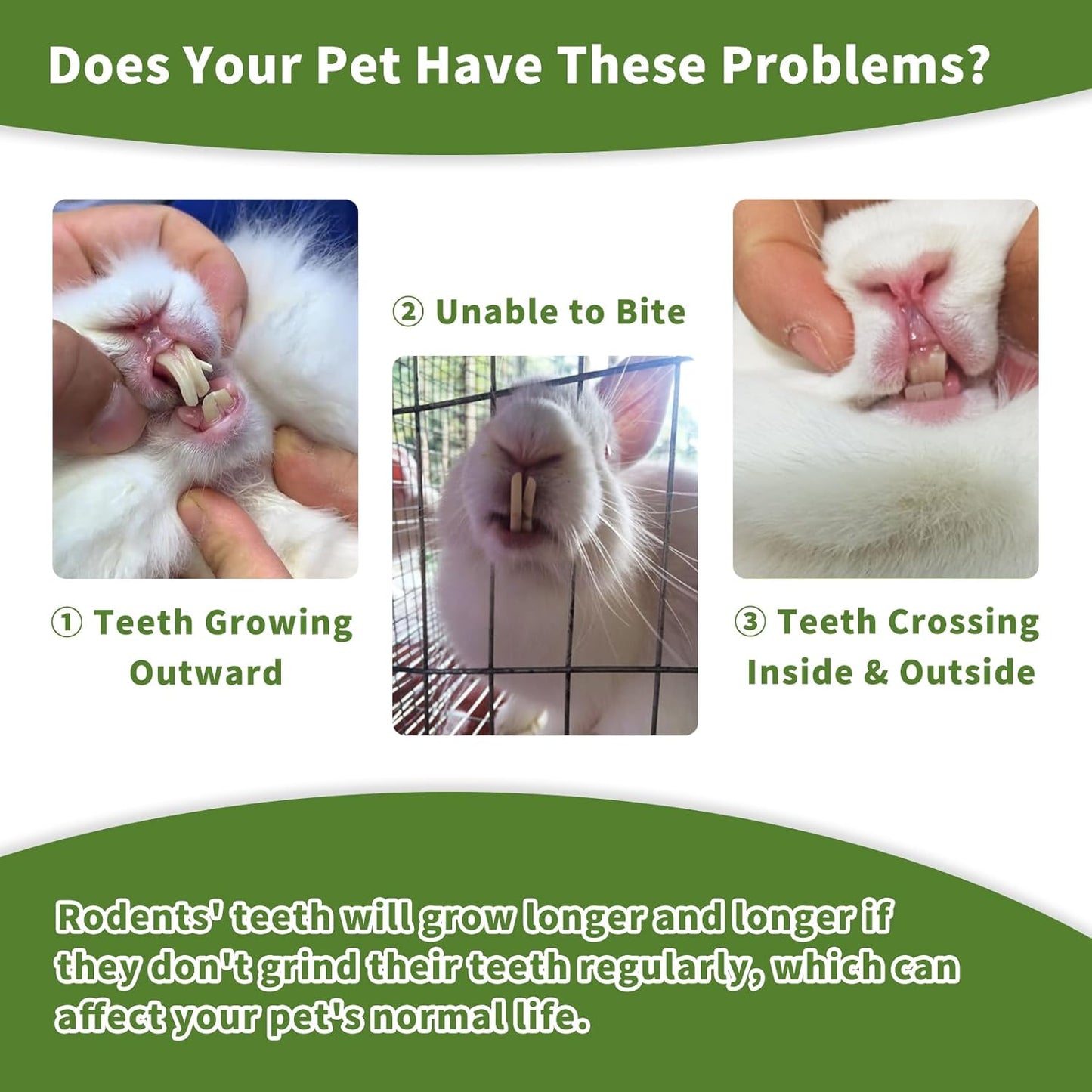 Fhiny Rabbit Chew Toys, 8 PCS 2" Natural Papaya Wood Chew Sticks Guinea Pig Treats for Dental Care Bunny Treats for Rabbits Small Pet Molar Snacks for Bunny Guinea Pig Chinchilla Hamster Gerbil