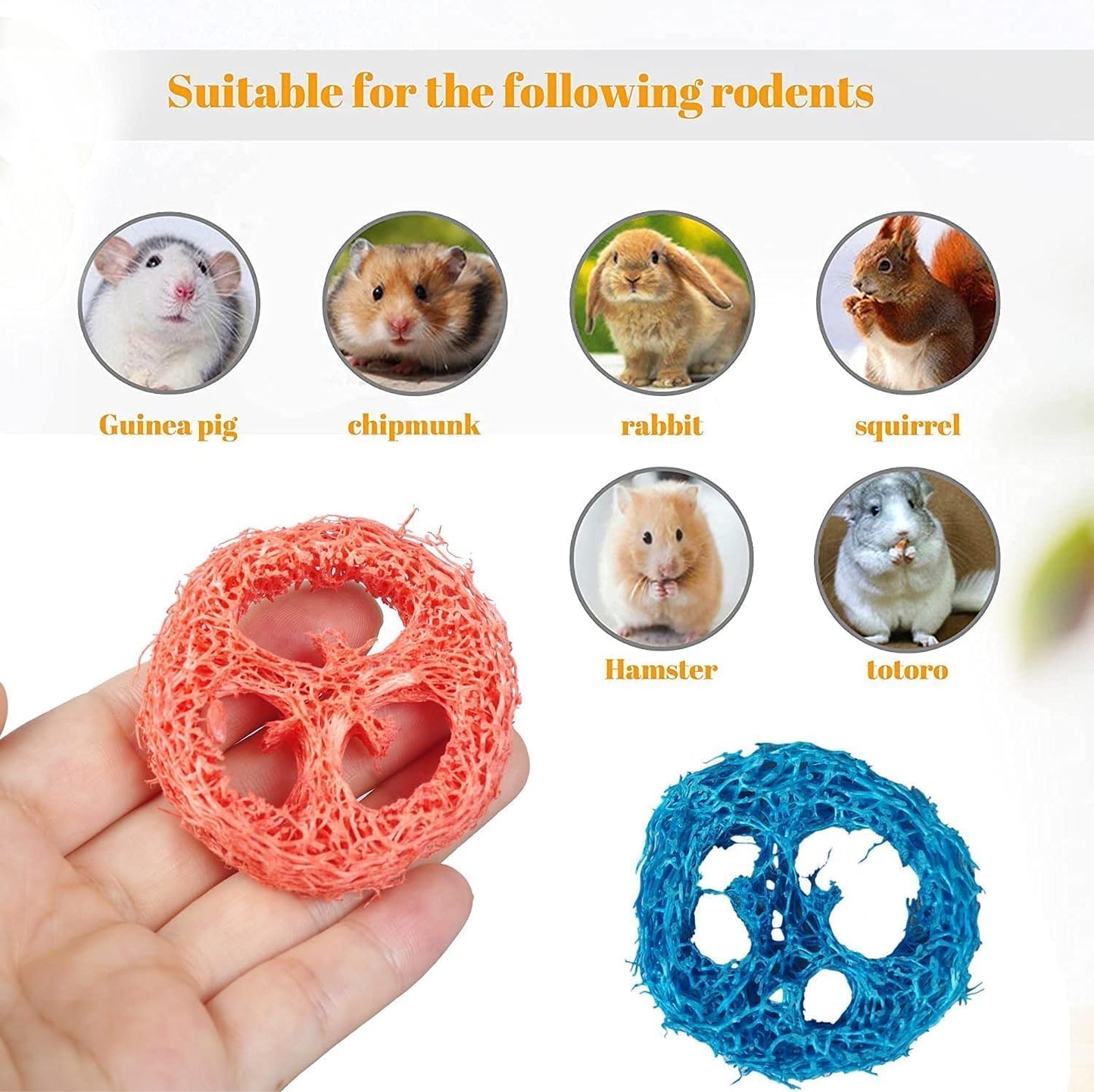 15 Pcs Fruit Flavored Loofah Slices Rabbit Chew Toys Guinea Pig Chew Toys Small Pet Chews Bunny Toys for Teeth Rabbit Toys
