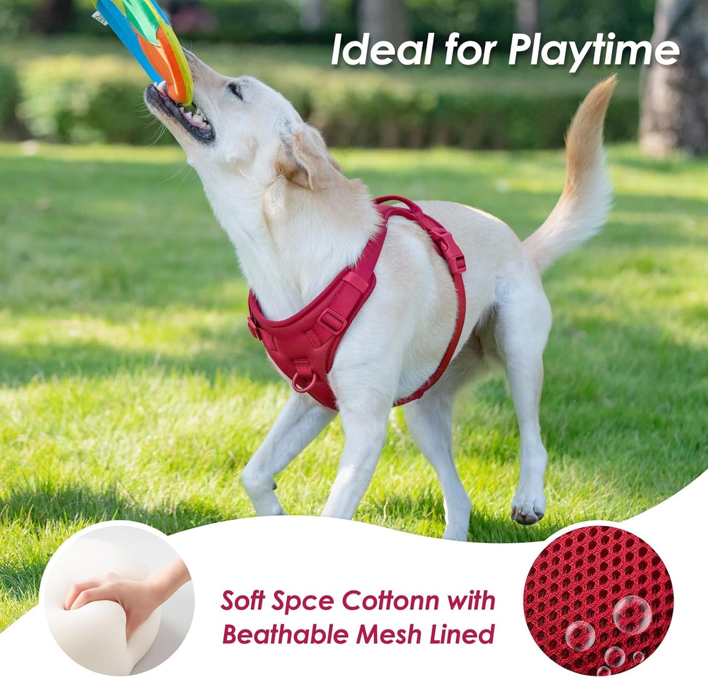 No Pull Dog Harness, Puppy Vest with Front Clip for Small Medium Large Sized Dog(Burgundy Red,S)