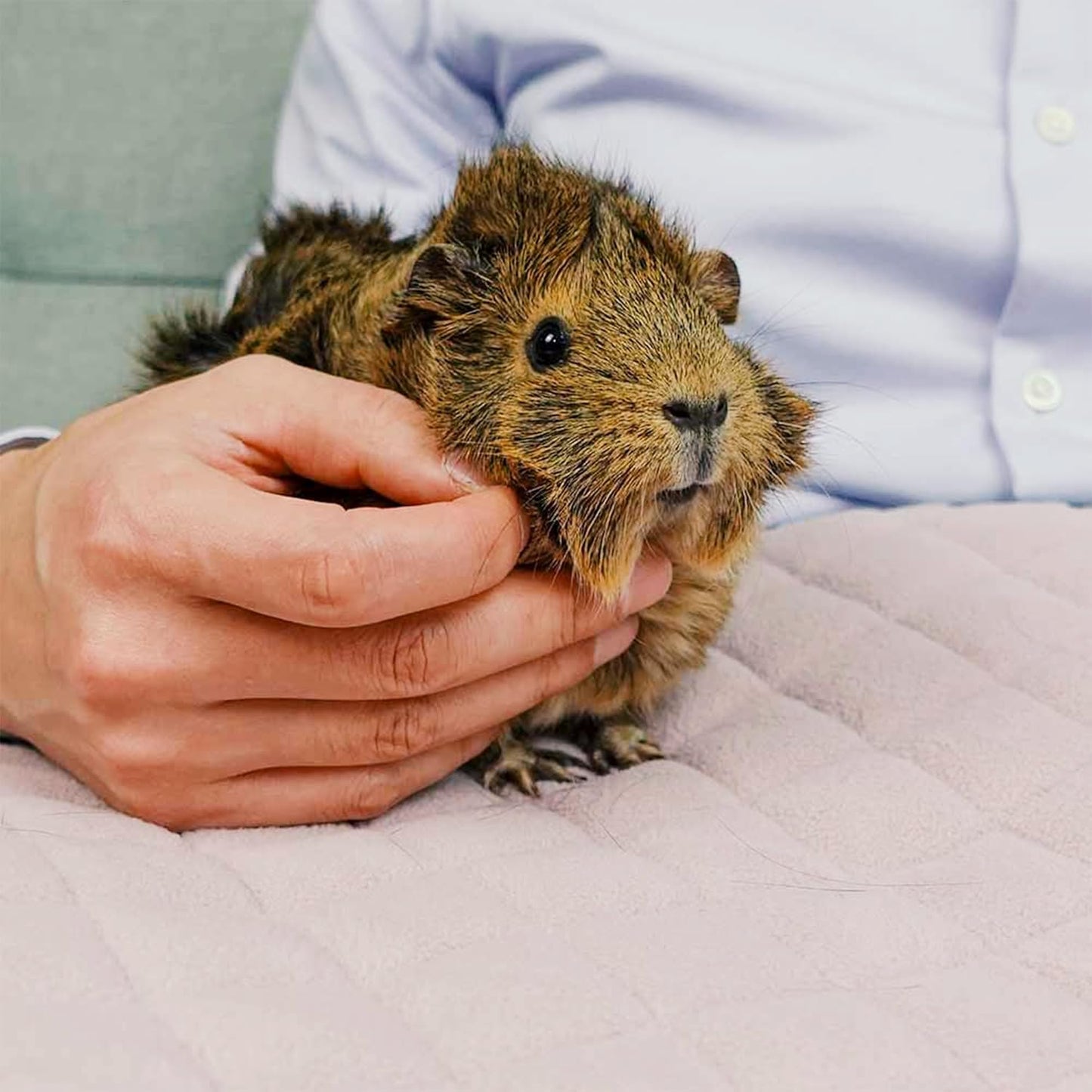 GuineaDad Premium Liner – Fleece Guinea Pig Cage Liner – Ultra-Plush Reusable Fleece Bedding with Waterproof Bottom – Extra Absorbent Liner for 2x4 C&C Cage (Blush)