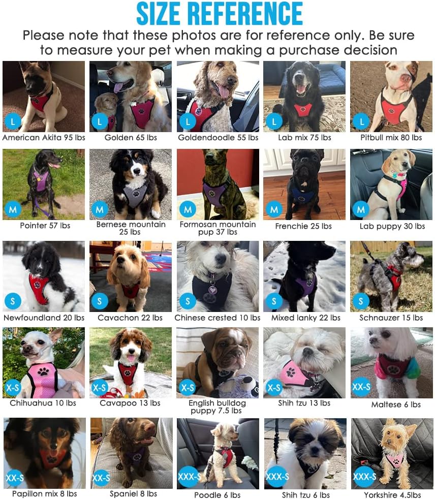 SlowTon Dog Seat Belt Harness for Car, Dog Car Harness Adjustable Mesh Breathable & Dog Seatbelt Safety Tether with Elastic Bungee for Small Medium Large Pets(Fuchsia, Double Clip, L)