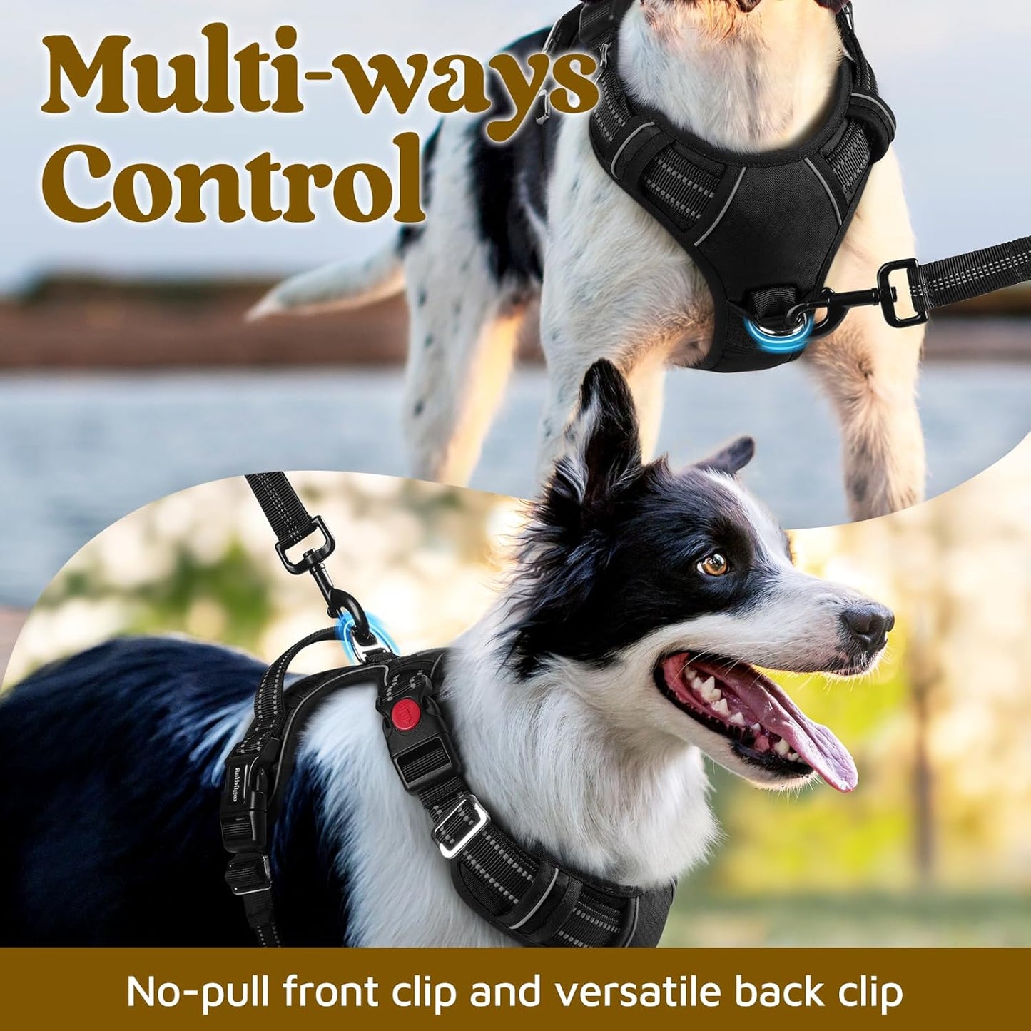 rabbitgoo Dog Harness for Large Dogs, No Pull Pet Vest with 3 Buckles, Adjustable Soft Padded Pet Harness with Easy Control Handle and Reflective Strips, Black, XL