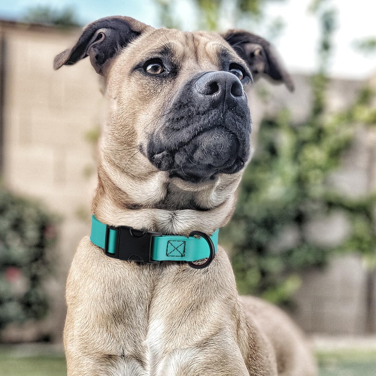 Dogline Biothane Waterproof Dog Collar with Quick Release Buckle Strong Coated Nylon Webbing with Odor- Proof for Easy Care Easy to Clean Fits Small Medium Large Dogs, Cyan Blue 1" W 15-25" L