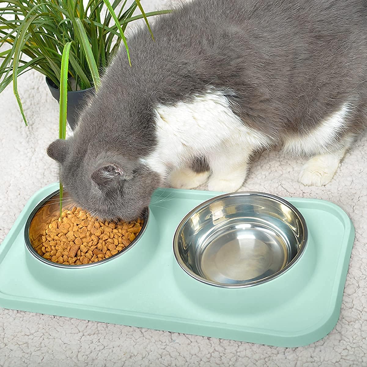 Cat Food Bowls, Cat Bowls Non-Skid and Non-Spill Silicone Pads with PP Stand, Removable Stainless Steel Food and Water Dishes for Cats, Small Size Dogs