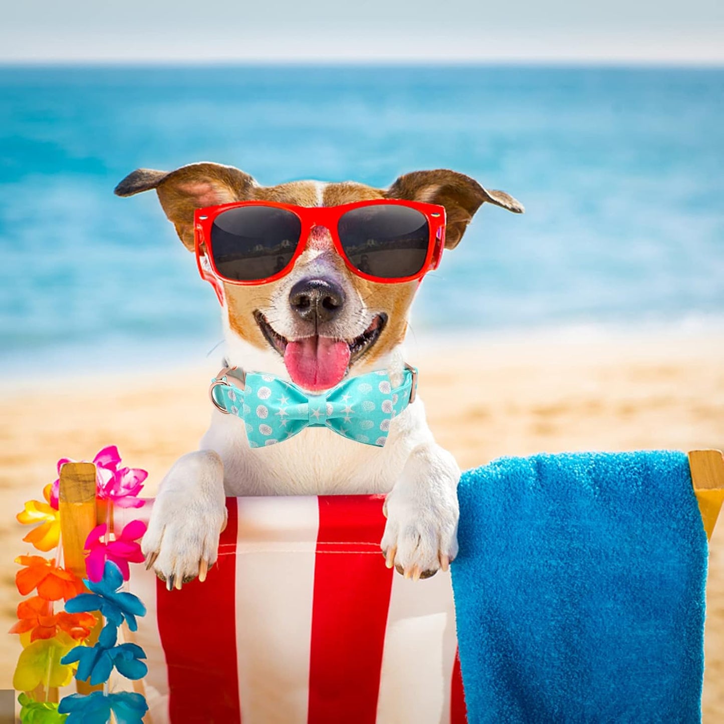 Elegant Little Tail Dog Collar with Bow, Summer Cute Bowtie Collar for Small to Large Dogs