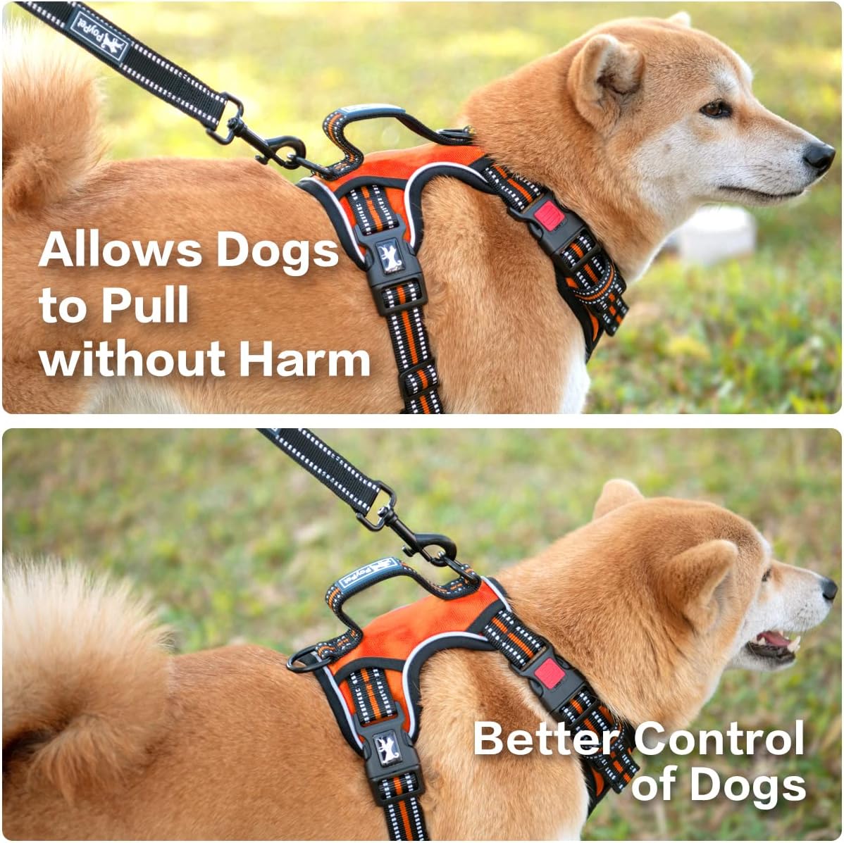 PoyPet No Pull Dog Harness, No Choke Front Clip Reflective Dog Vest with Soft Padded Vertical Handle, 3 Leash Attachments for Small Medium Large Dogs (Orange,L)