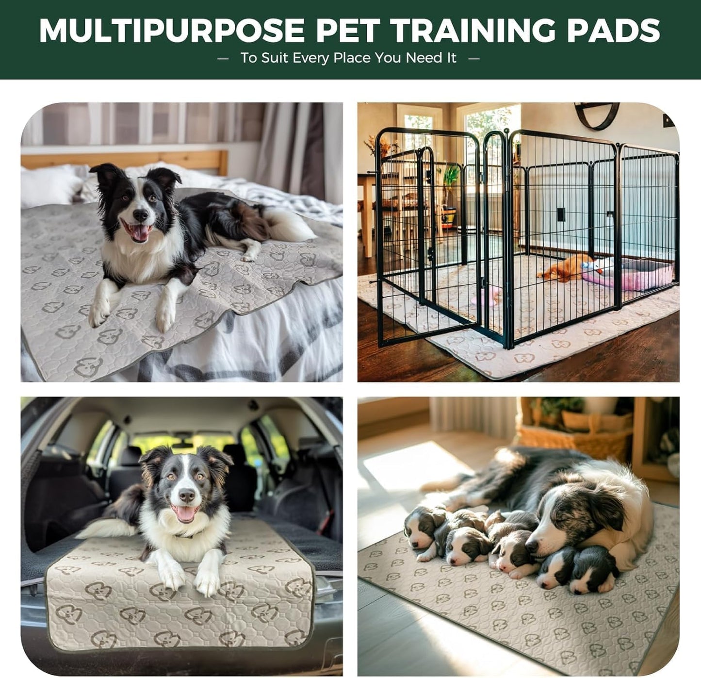 FXW Washable Pee Pads for Dogs, Puppy Pads with Super Absorbent, Specifically Designed for Potty Training, Square, 39" x 39", 2 Packs