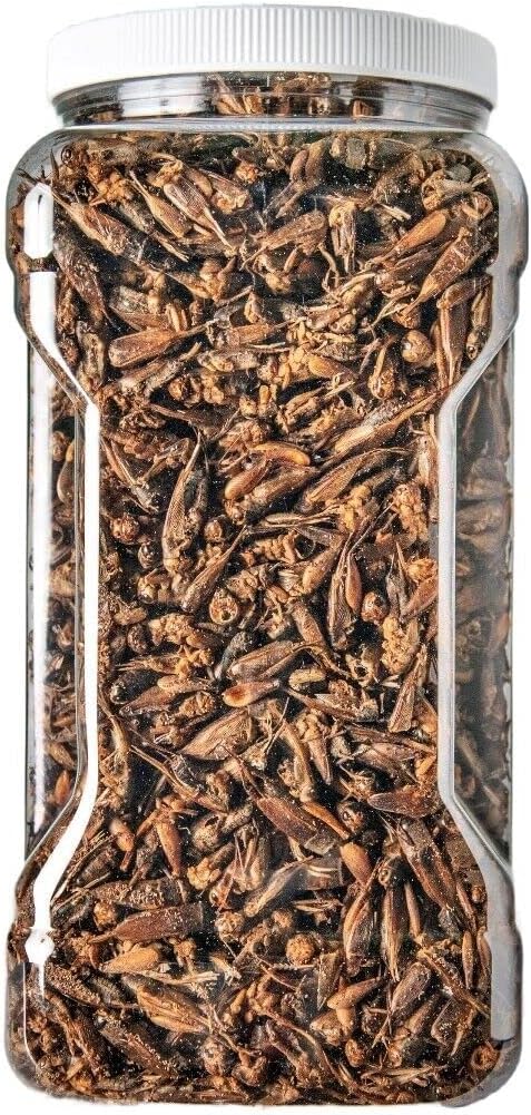 Aquatic Foods Inc. Crickets - Freeze Dried Crickets for Tropical Fish, Reptiles, Turtles, Tortoises Frogs, Hamsters, Birds, Rodents…1-lb Lg Jar