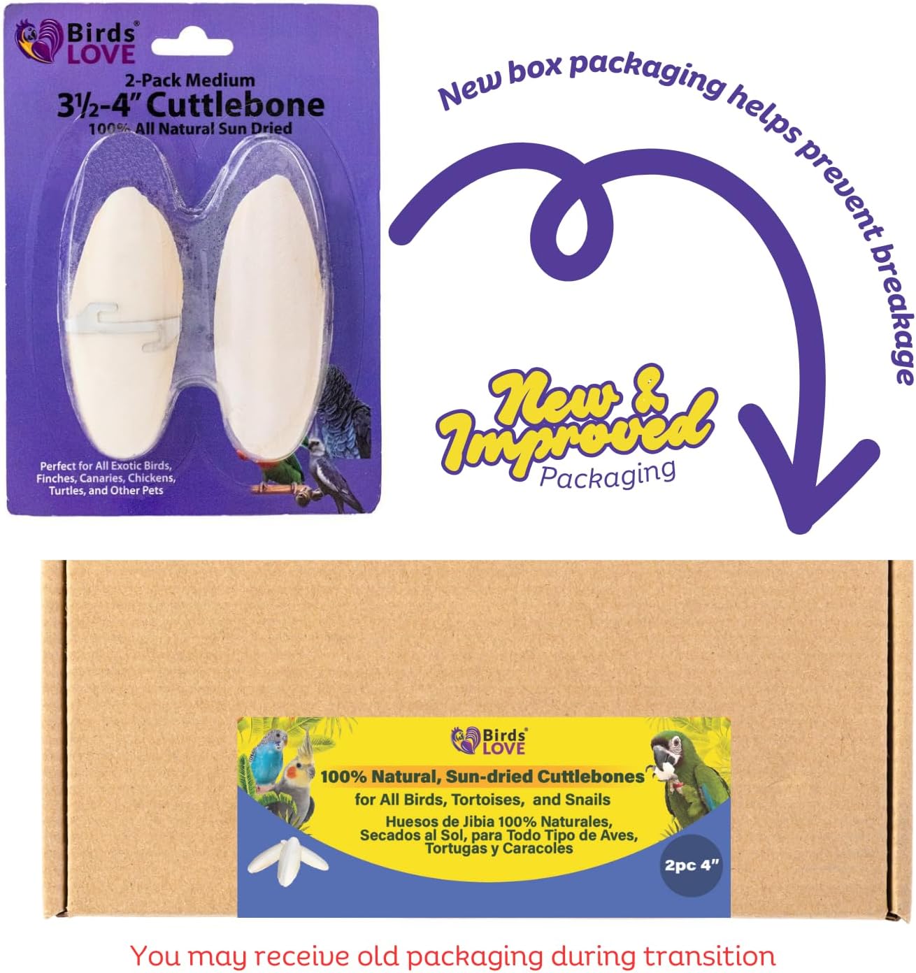Birds LOVE Natural Cuttlebone | 100% Pure Sun-Dried Calcium Supplement for Birds, Tortoises, Snails & Crabs | Supports Beak & Shell Health | Easy to Chew | 2 Pack, Size 3.5 to 4"