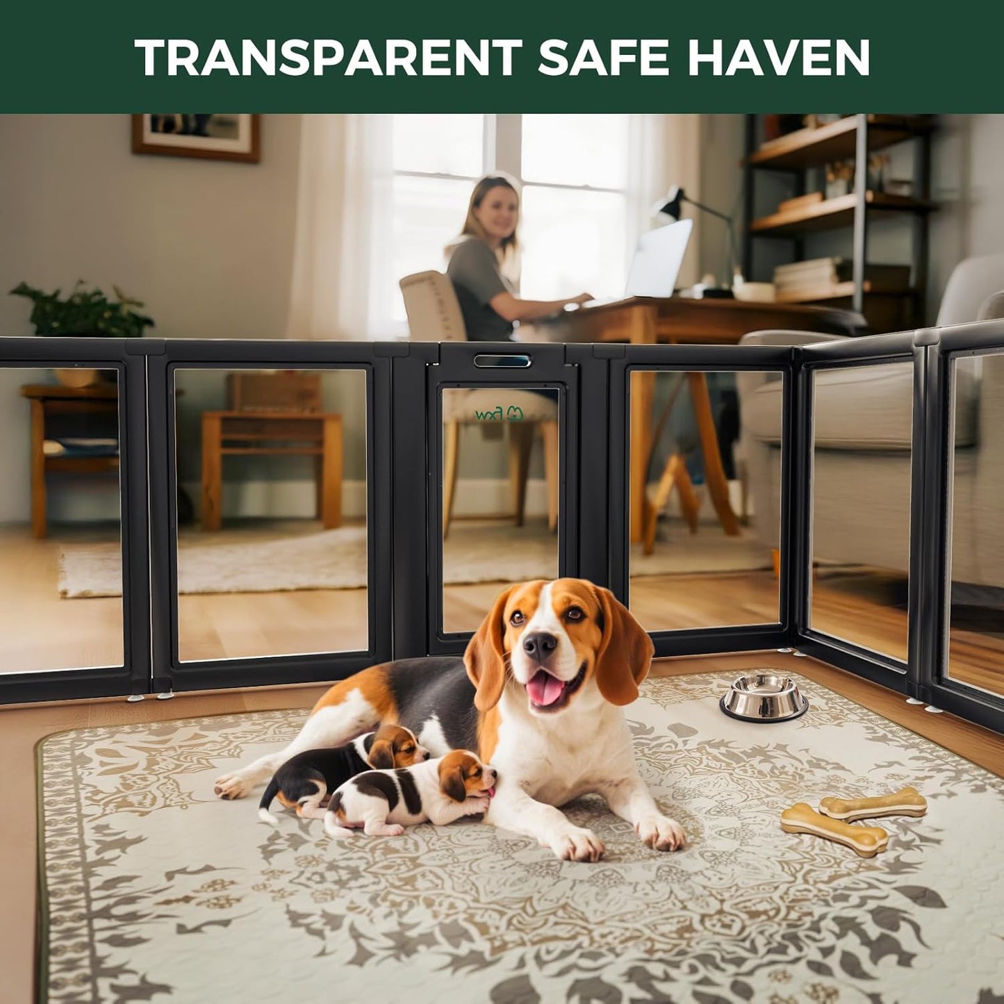 FXW AuraSpace Acrylic Indoor Unleashed Dog Playpen for Medium Dogs, 35 Inch, 12 Panels, Black