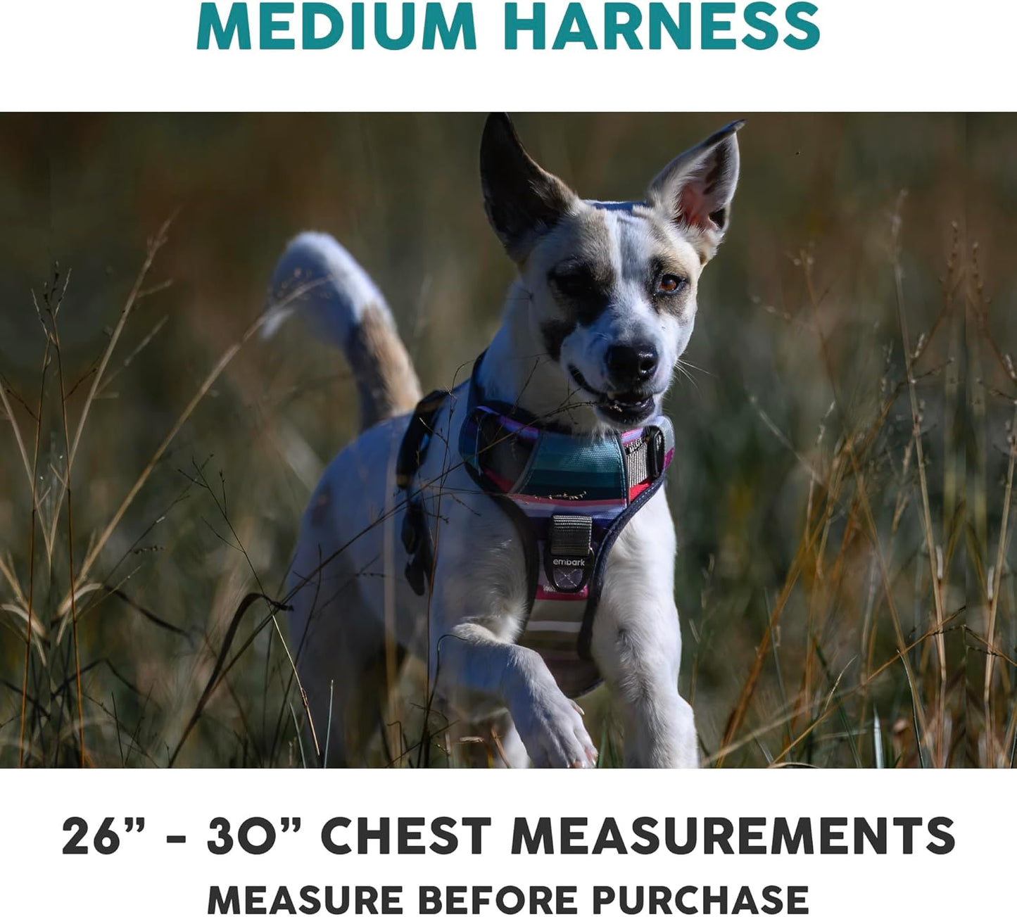 Embark Adventure Dog Harness, Reflective Trim No Pull Harness for Medium Sized Dog - Military Grade Nylon, Front Clip with Gel Lined Handle. Soft & Padded Puppy