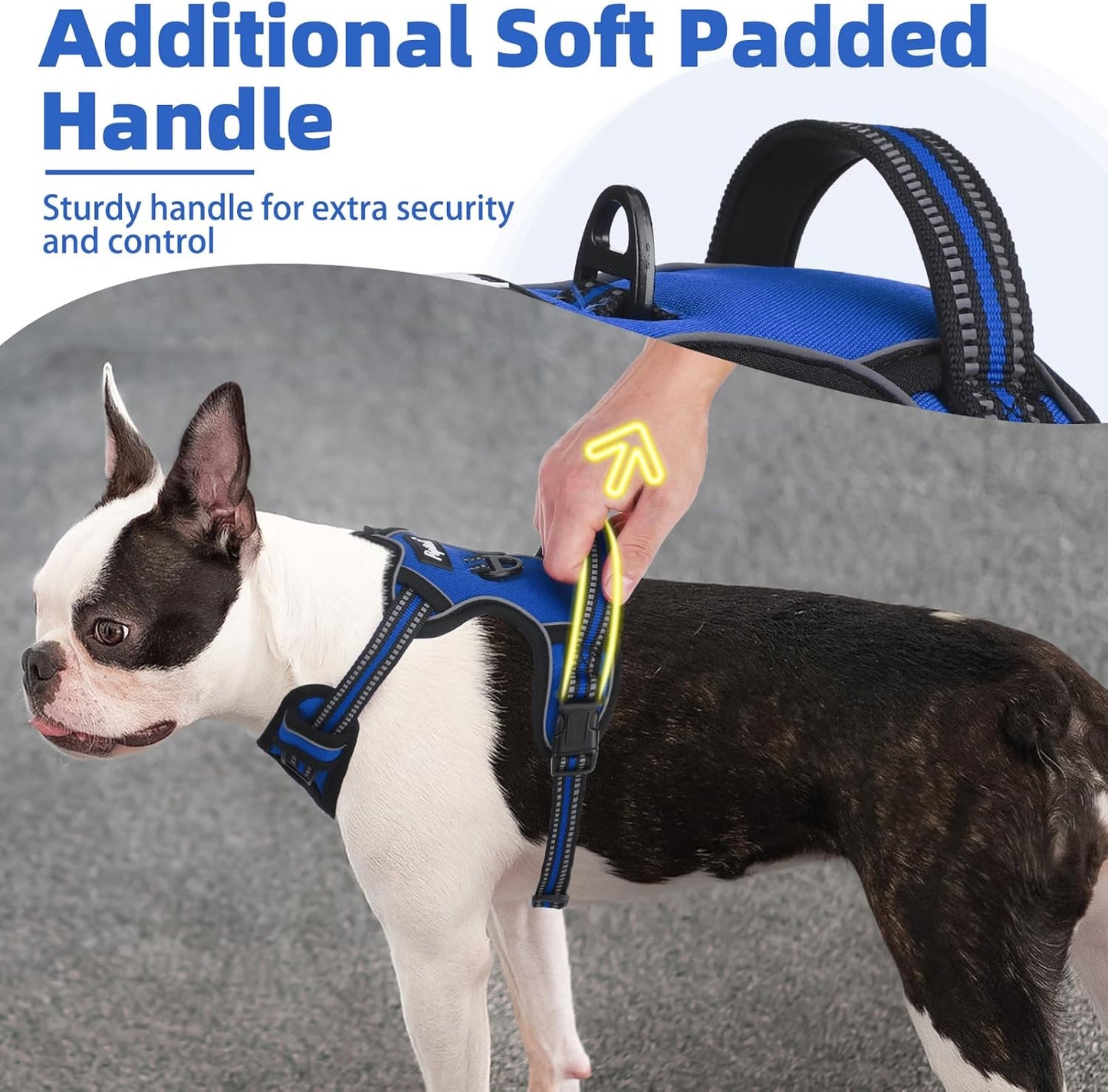 PUPTECK No Pull Dog Harness Small Sized, Adjustable Reflective Dog Harness with Handle Easy Control, Comfortable Soft Padded Pet Vest Harness for Small Dogs, Blue S