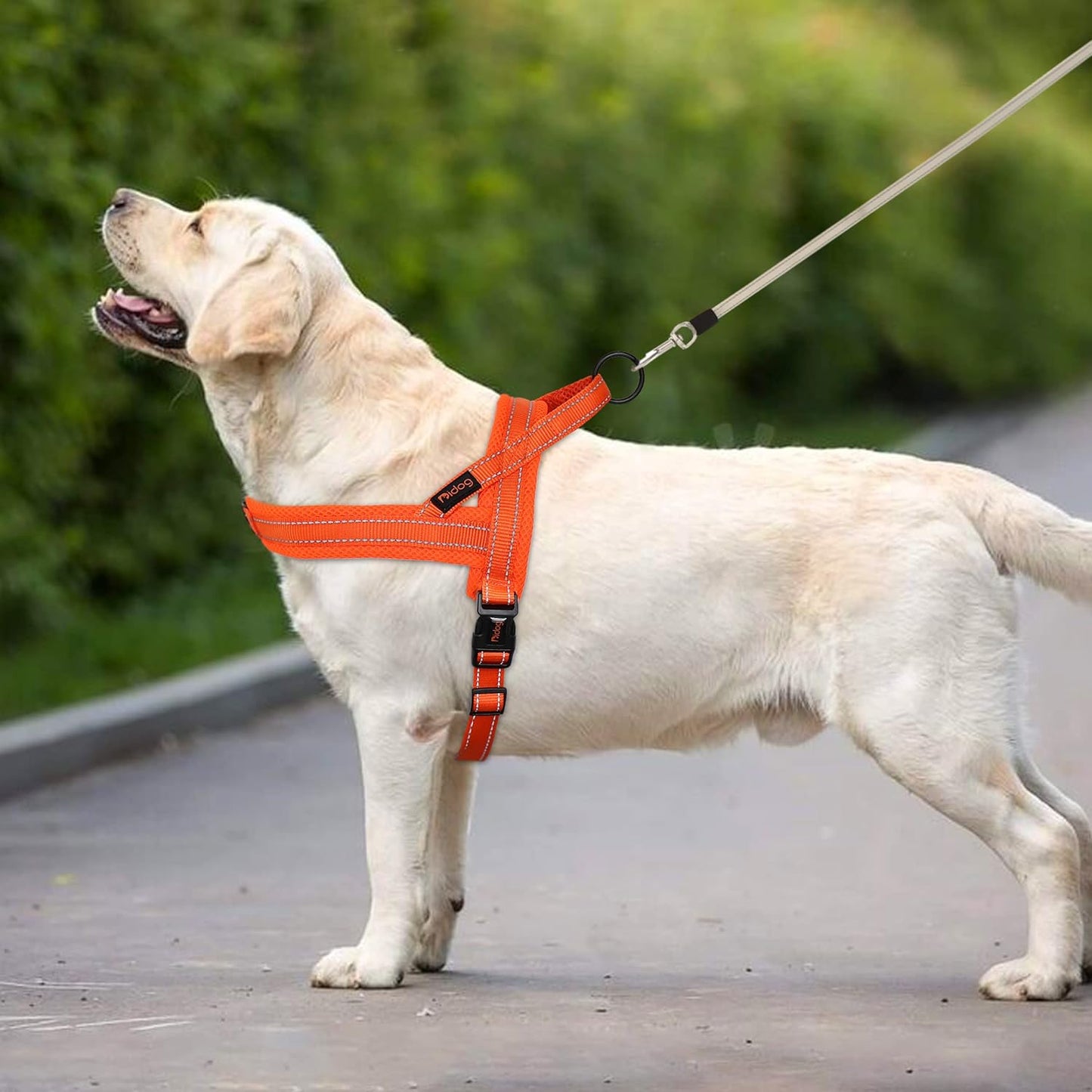 Didog No Pull Dog Harness with Soft Mesh Padded,Reflective & Quick Fit Light Weight Dog Strap Vest Harness,Easy for Walking Training (XS:Chest 15-18", Orange)