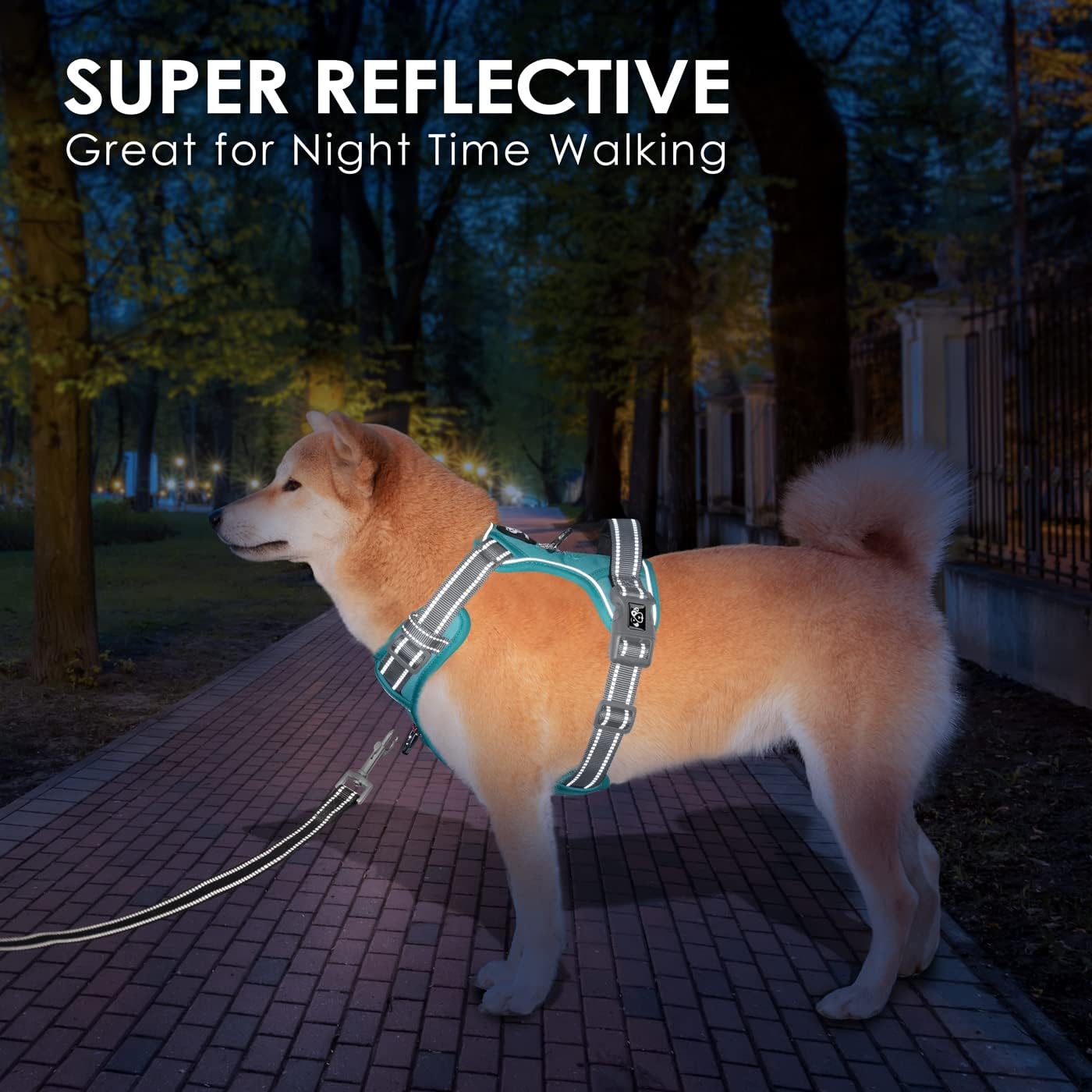 PHOEPET No Pull Dog Harness, Unique Colors Reflective Adjustable Dog Vest, with Soft Training Handle Metal Clips for Small Medium Large Dogs (Mint Green Base & Grey Straps,M)