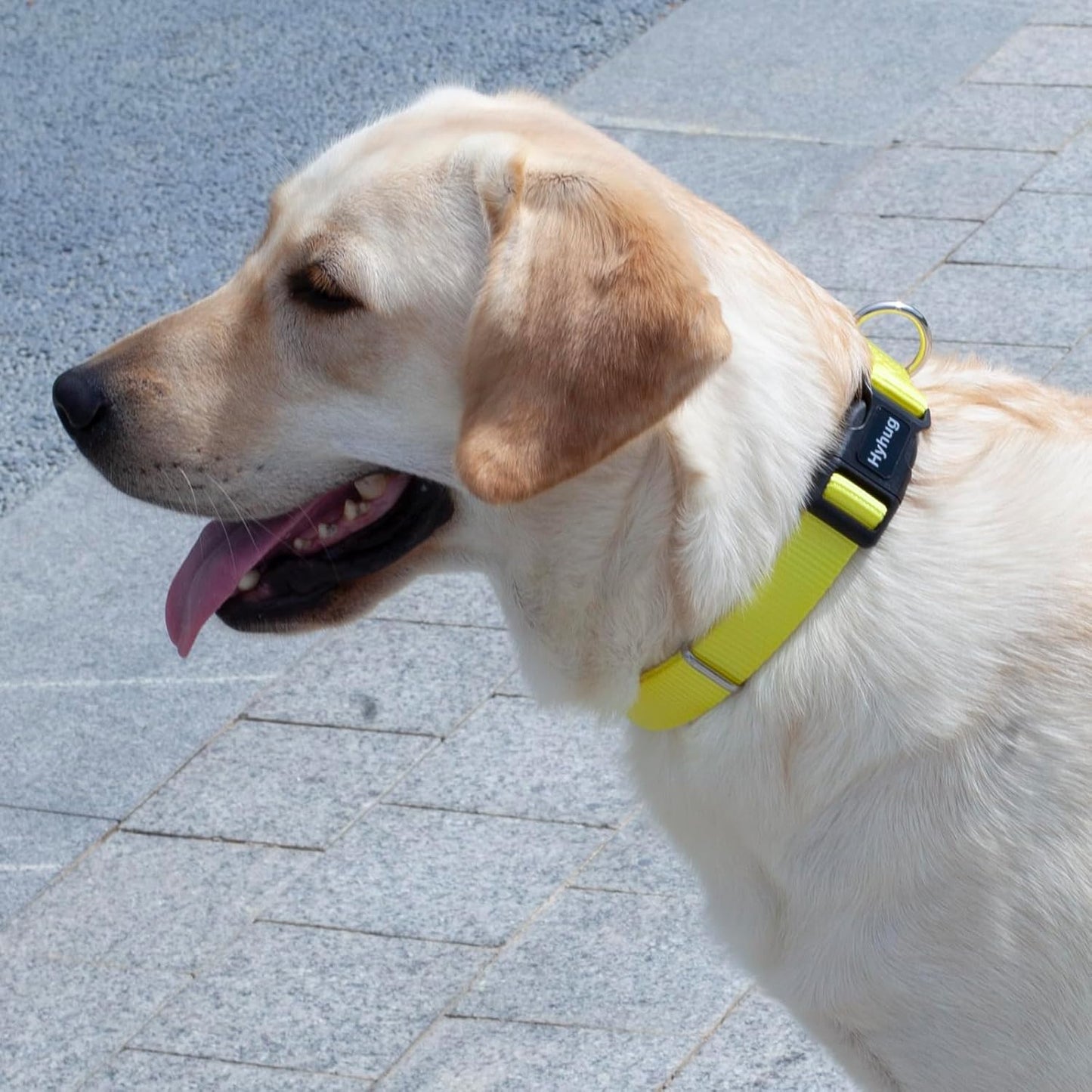 Hyhug Pets Solid Color Classic Regular Heavy Duty Basic Collar for Large Dogs, Unique Design Adjustment Triglide Slide (Buckle) Can Attached Name Tag Accessories. (Large, Illuminating Yellow)