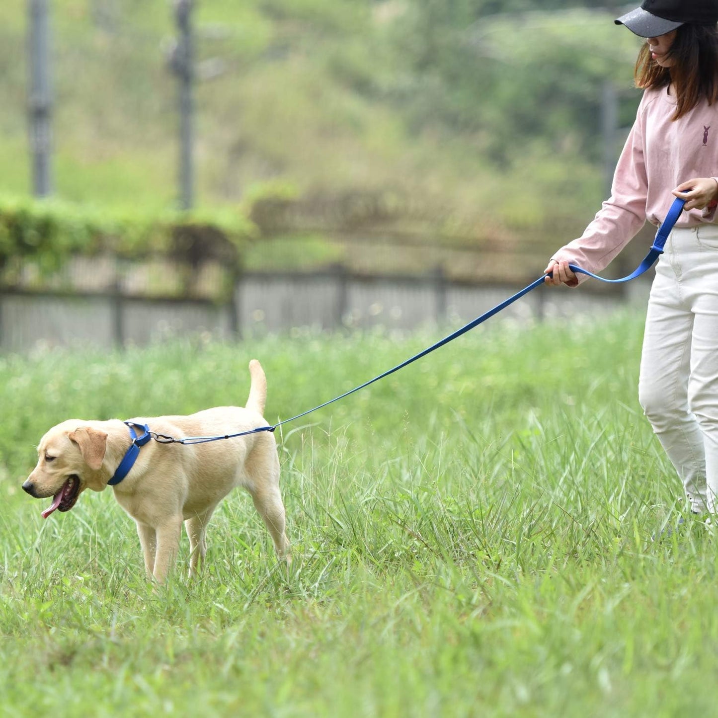 Hyhug Adjustable Solid Study Nylon Anti Escape Durable Martingale Not Slip Training Puppy Dog Collar. (Small, Bright Blue)