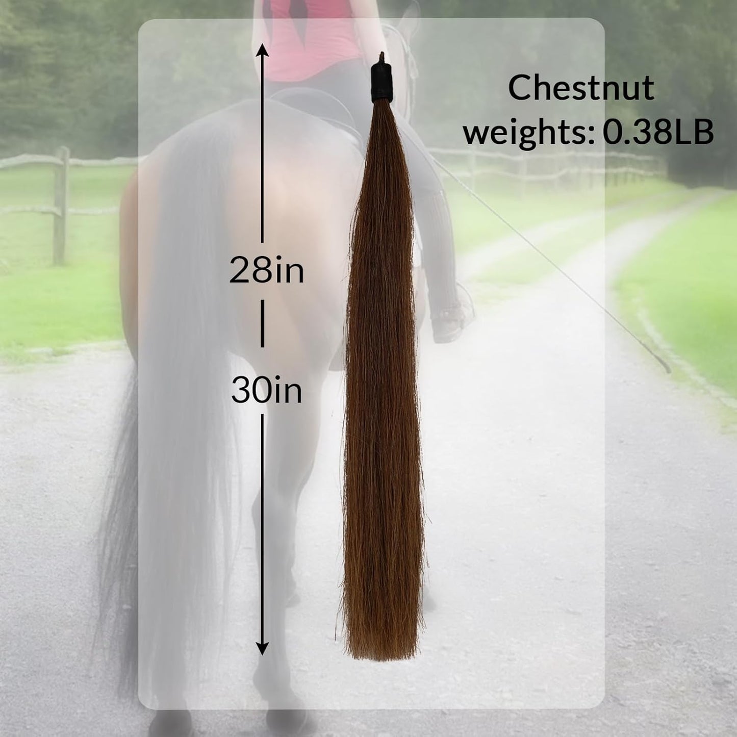 Horse Tail Extension with Braided Horsehair Loop, Blunt Cut Bottom, 3/8 lb, 28-30 inches (chestnut)