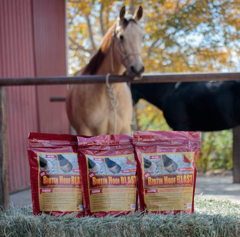 Horse Guard Hoof Supplements for Horses - 80 Servings - Biotin Hoof Blast 10lb Bag with 100mg Biotin per Serving - Concentrated Equine Hoof Health, Strengthener with MSM, Methionine, Zinc